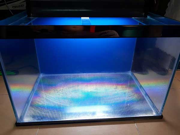 kính bể cá giá rẻ tại hải phòng